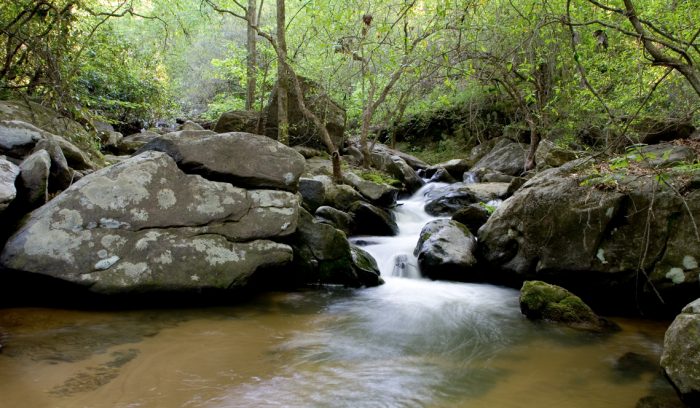 A stream over rocks in Alabama