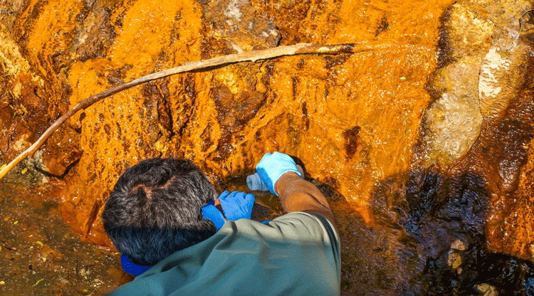 Cape Fear coal ash lagoons