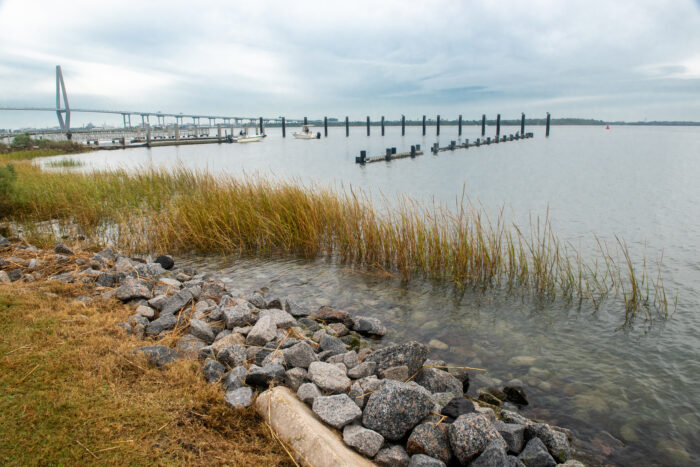 A shore with stones and a think line of marsh grass in the foreground, then some pylons and small boats and a large bridge in the background.