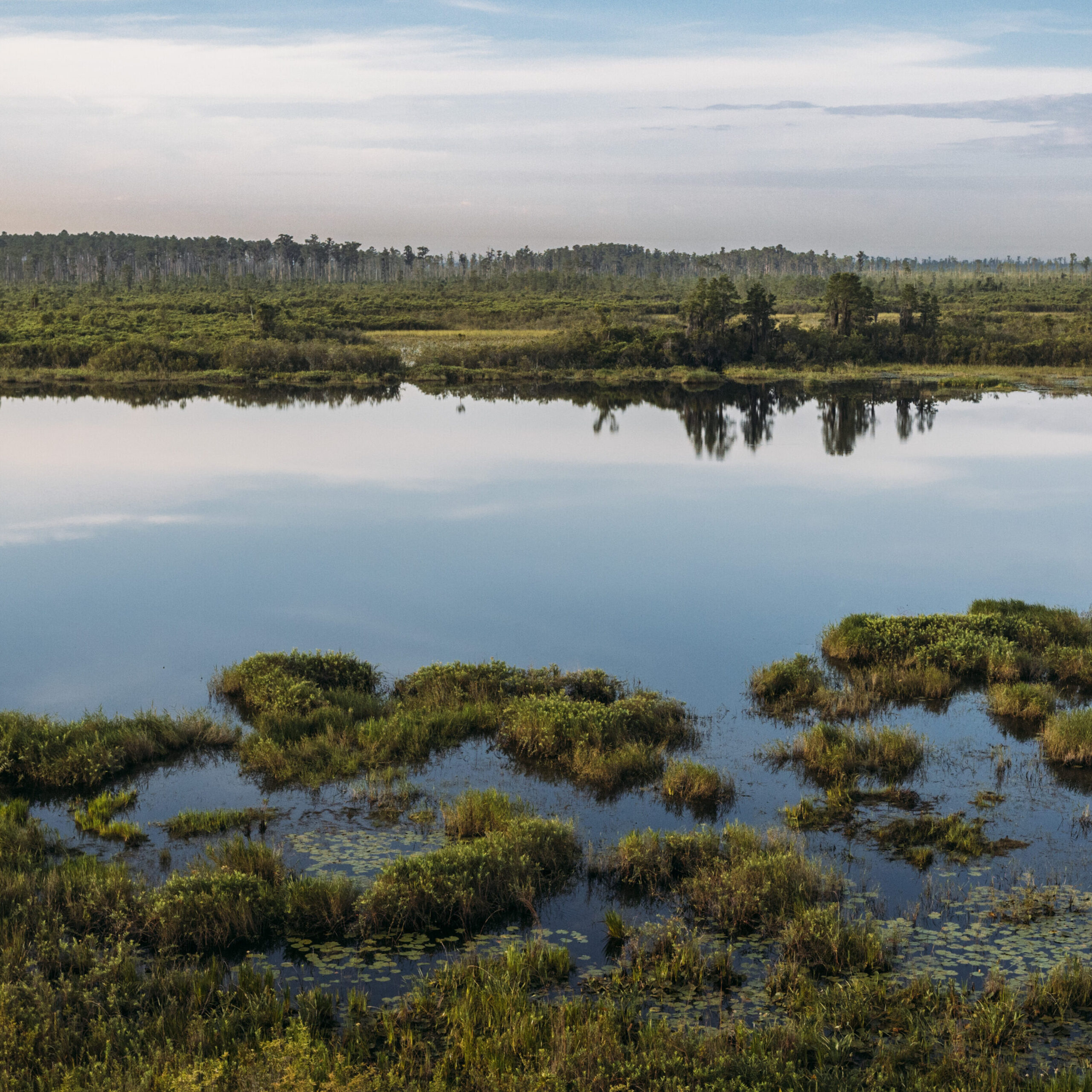 A wide landscape with wetlands, then open water, then more wetlands and a low tree line in the distance.