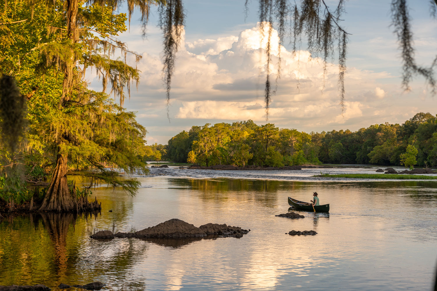 A canoe floats down stream with a single paddler at golden hour with cypress trees along the banks.