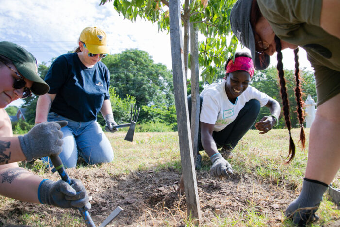 Four women are working around the base of a young tree to help it get established.