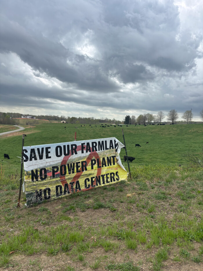 A large fabric sign in the corner of a field with cows and a dirt road in the background under a cloudy sky reads: Save our farmland. No power plant. No data centers."