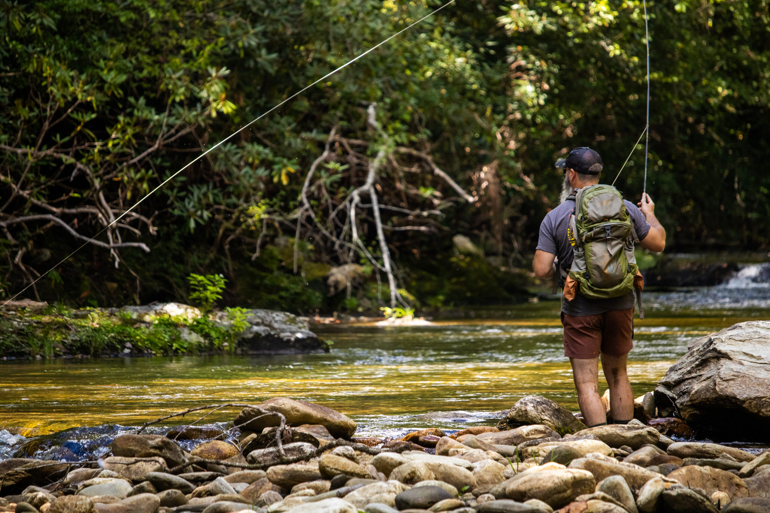 Southern hunters and anglers depend on roadless areas - Southern  Environmental Law Center