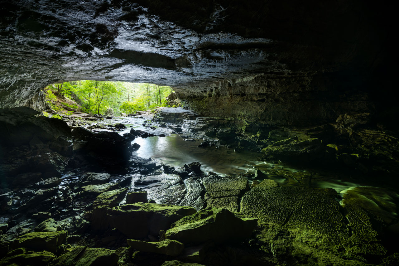 Looking out toward the mouth of a cave, where a stream enters from, and the greenery beyond.