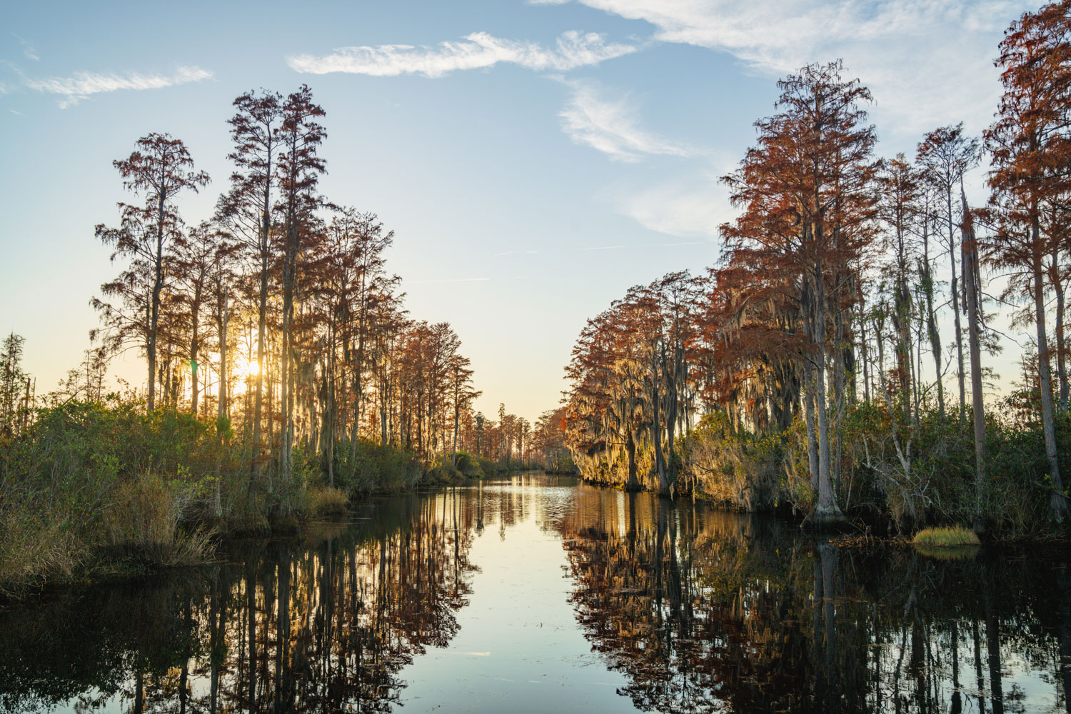 Sun sets on a canal lined with cypress and spanish moss.