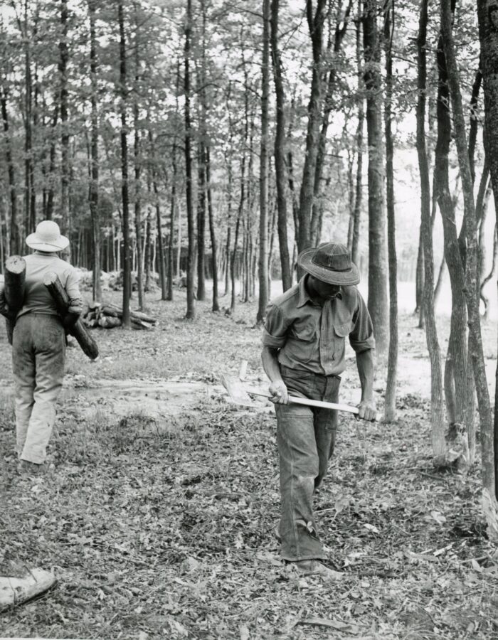 A black and white photo of a Black man in a clearing of a longleaf pine forest with an axe working to clear more area.